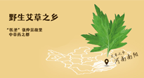 艾草越嫩越好，還是越久越好？悄悄告訴你：艾草這樣用，效果最好！