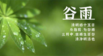【二十四節(jié)氣灸】谷雨時(shí)節(jié)，用艾為您的健康加上一道保險(xiǎn)！