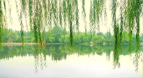 【養(yǎng)生知識(shí)】已入五九，六九將至，五九的養(yǎng)生秘訣，你知道嗎？