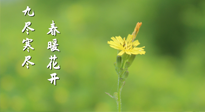 【九九養(yǎng)生】三月四日“九九日”，寒冬已過。春天養(yǎng)好身，全年不怕??！