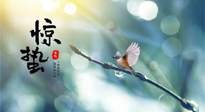 【二十四節(jié)氣灸】驚蟄節(jié)氣，艾灸喚醒抵抗力、補充陽氣的最好時機！