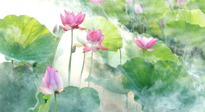 【養(yǎng)生知識(shí)】花開(kāi)半夏，夏至養(yǎng)生，這些知識(shí)一定要牢記！