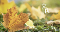 【節(jié)氣養(yǎng)生】甲辰立秋，“2做”、“2不做”，護(hù)好我們身體的正氣，預(yù)防外邪的侵襲！