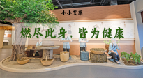 【艾草知識(shí)】小小艾草，渾身是寶，一生燃盡此身，皆為健康！